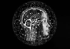 Neurodiversité