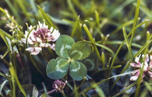 Attirer la chance et la réussite